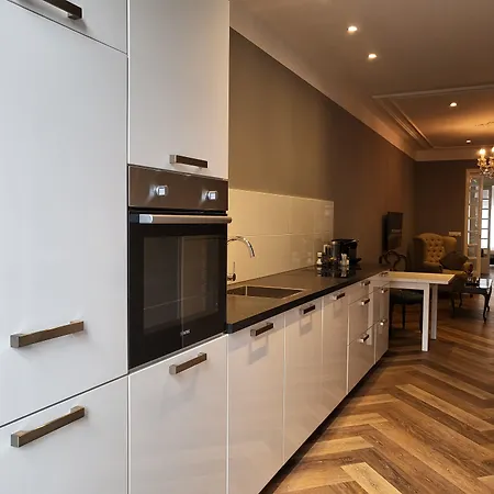 Boutique Huys Leyden 4* ライデン